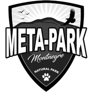 METAPARK_resultado